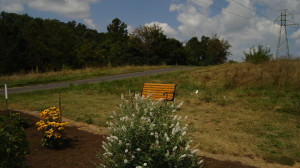 Park Bench and Landscaping